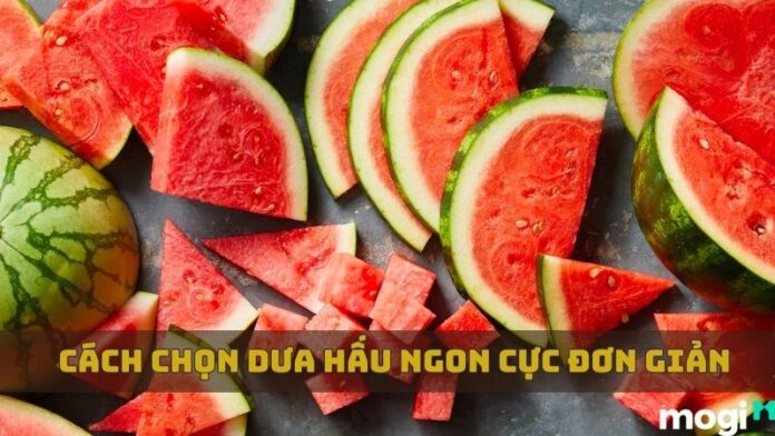 cách chọn dưa hấu ngon