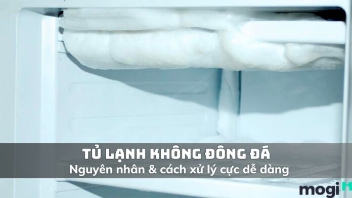 Vì sao tủ lạnh không đông đá?