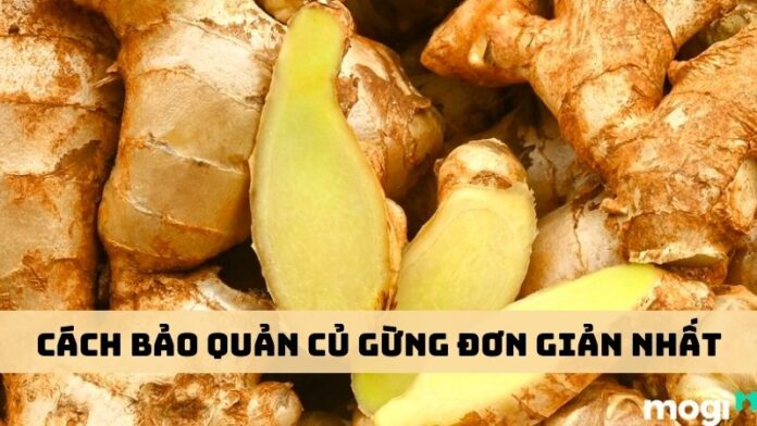 cách bảo quản gừng