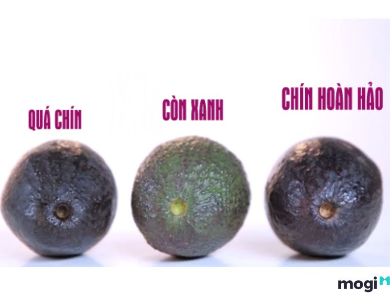 cách chọn bơ ngon