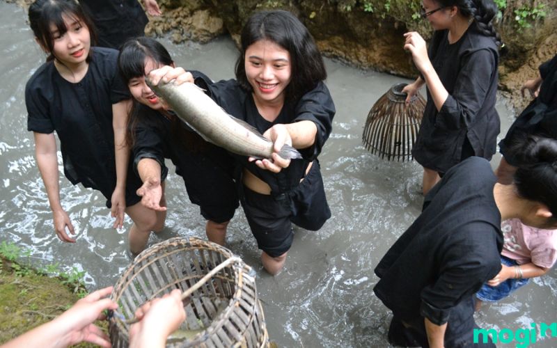 Mơ thấy đang bắt cá