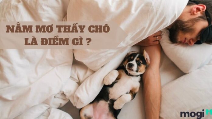 Nằm mơ thấy chó