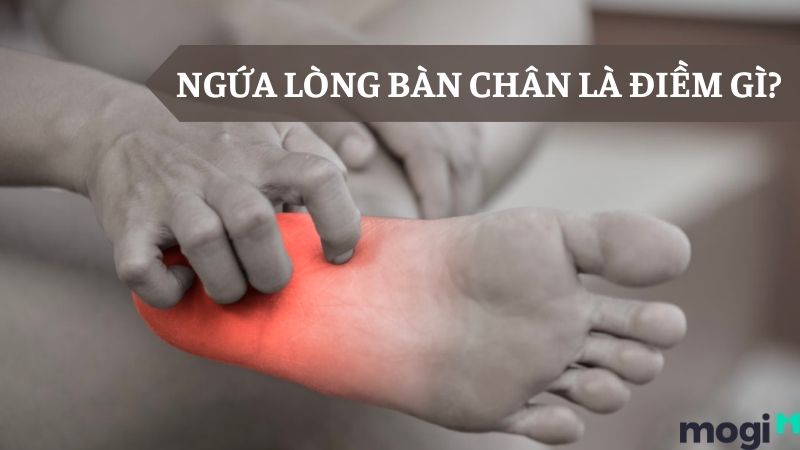  Ngứa lòng bàn chân phải là điềm gì và cách xử lý hiệu quả