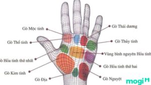 Xem gò Thái Dương ở tay nào để chính xác luận giải?