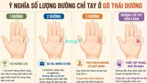 Xem bói tương lai qua số lượng đường chỉ tay trên gò Thái Dương