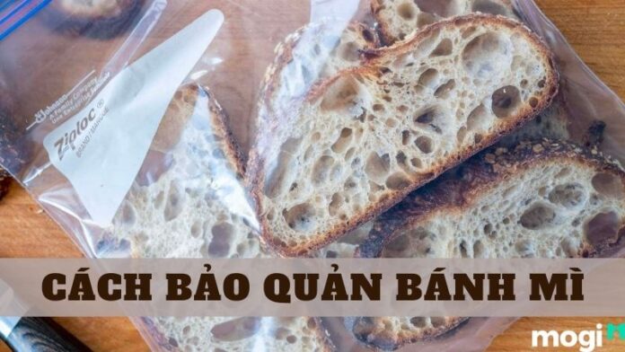 Cách Bảo Quản Bánh Mì Giòn Lâu Cả Tháng Không Hư Bạn Biết Chưa?