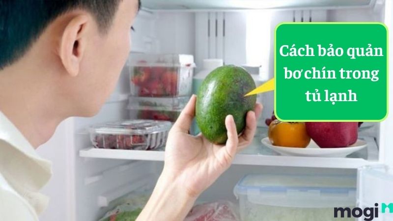 Cách bảo quản bơ