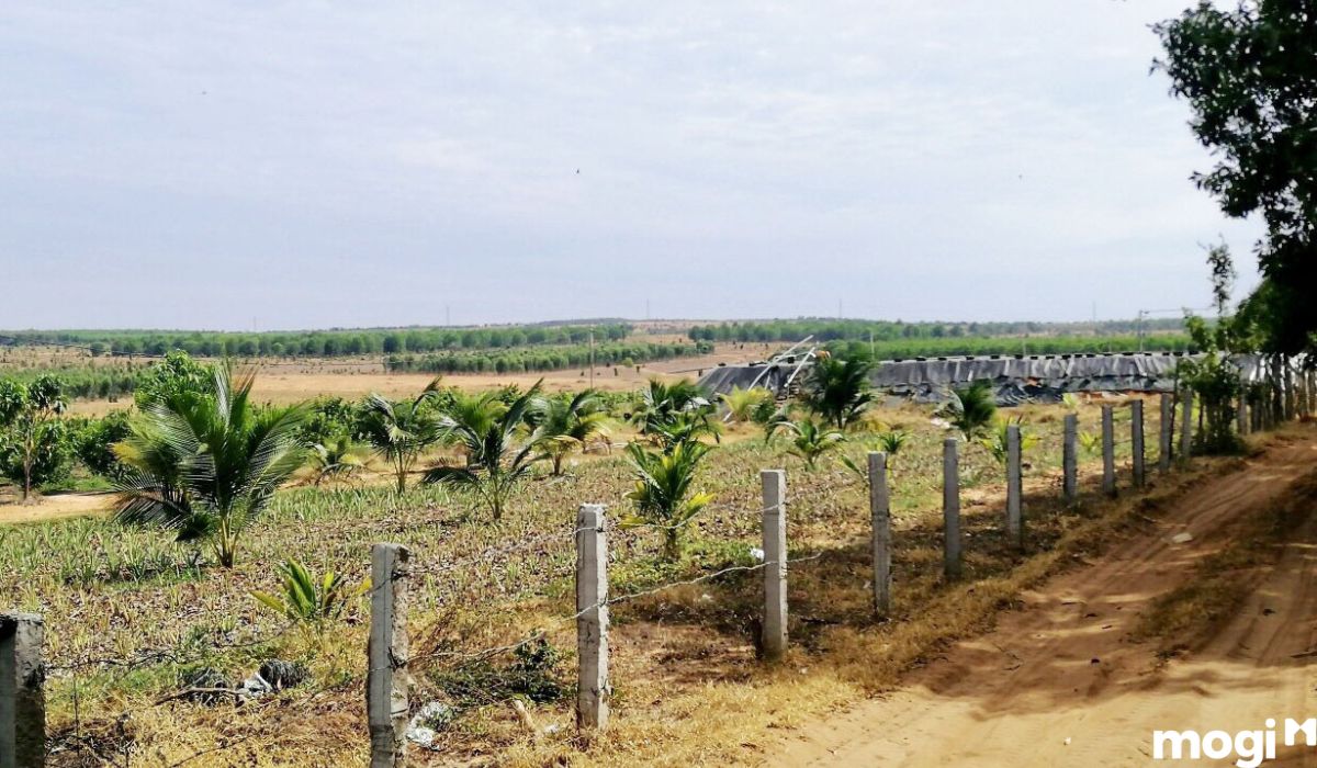 Mua bán đất vườn huyện Vĩnh Cửu, Đồng Nai nên chọn quỹ đất rộng cho trồng trọt