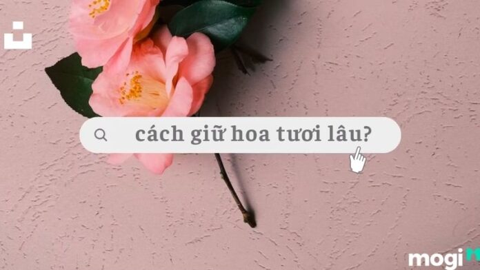 Cách giữ hoa tươi lâu