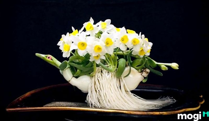 Hoa Thủy Tiên được xem là một trong loại hoa lâu tàn