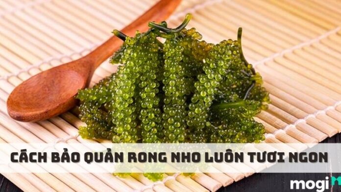 cách bảo quản rong nho