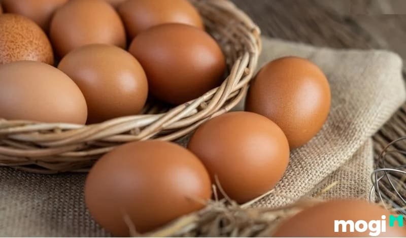 Bảo quản trứng gà tốt nhất là từ 3-5 tuần