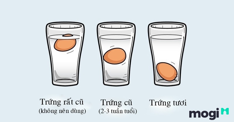 Cách nhận biết trứng gà bị hư bằng ly nước lạnh