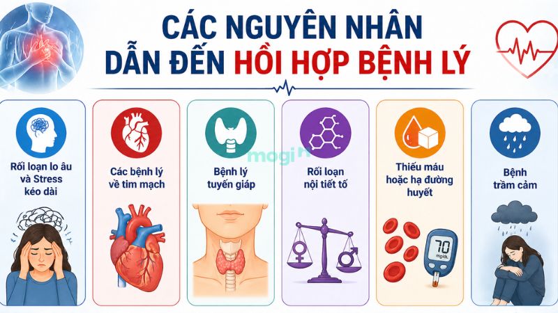 Hồi hộp là điềm gì? Giải mã theo điềm báo và bệnh lý 5 Các nguyên nhân gây tình trạng hồi hộp bệnh lý