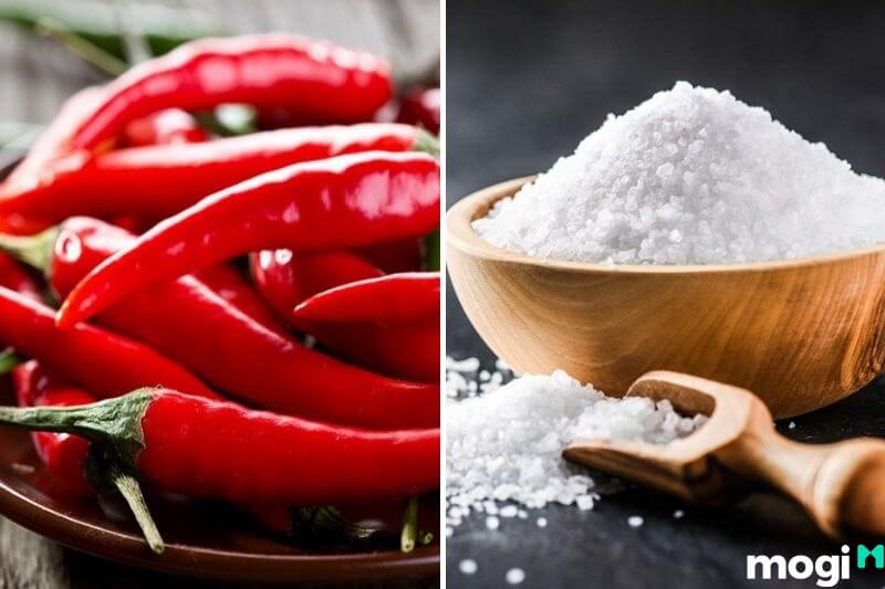 Cách bảo quản ớt tươi bằng muối