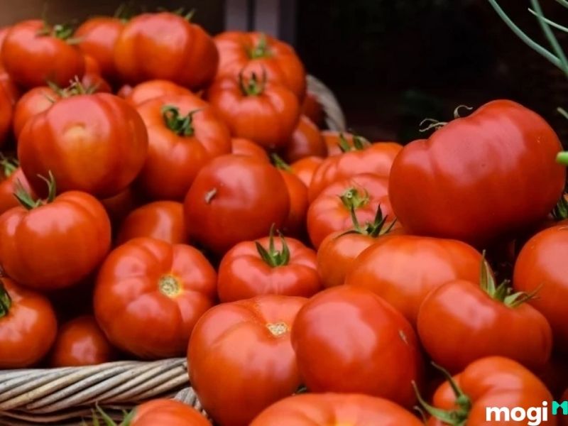 cách bảo quản cà chua