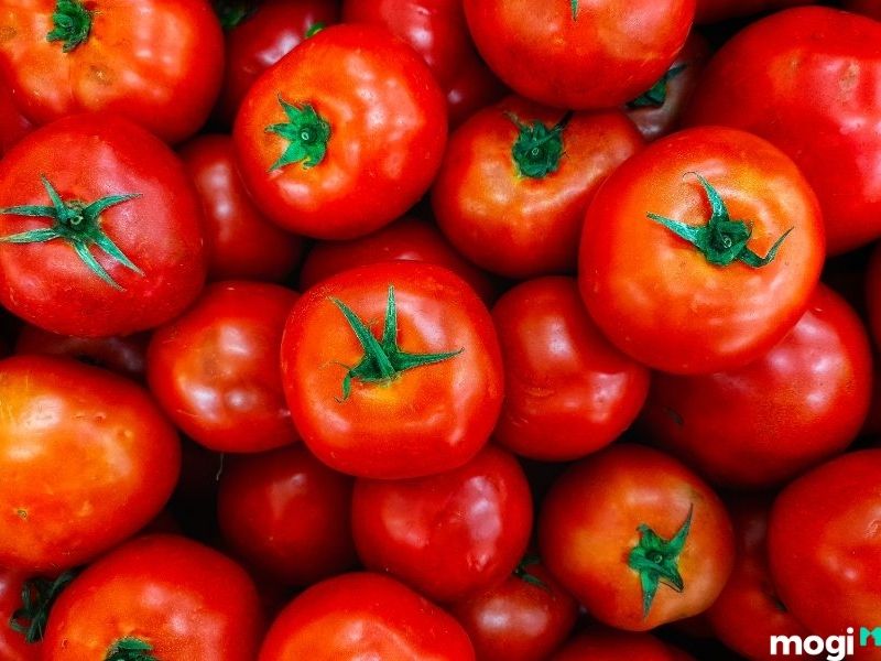 cách bảo quản cà chua