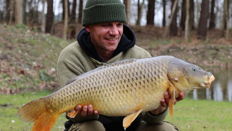 Mơ thấy bắt cá chép báo hiệu về thành công hoặc cơ hội nhận học bổng trong thời gian sắp tới