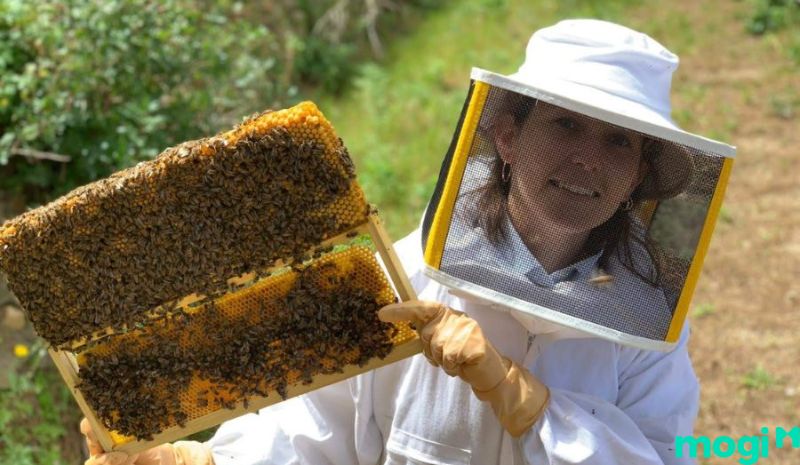 Cần phải trang bị đầy đủ trang phục khi duổi ong