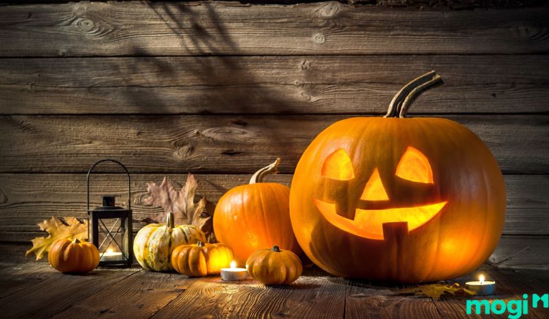 Lễ Halloween tổ chức vào ngày cuối cùng của tháng 10