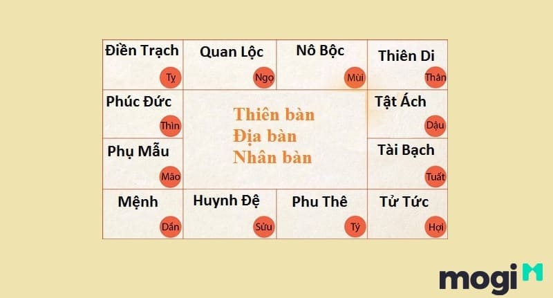 Vị trí của cung Tử Tức trong tử vi