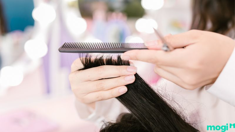 lợi ích của việc xem ngày cắt tóc