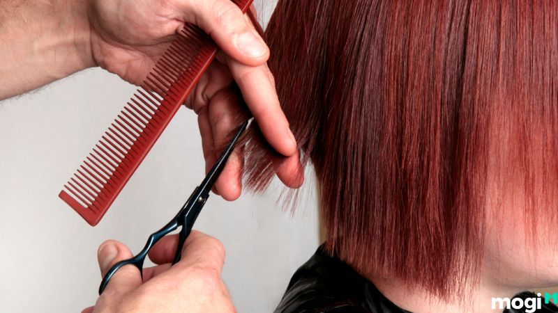 Vì sao nên xem lịch cắt tóc tháng 11
