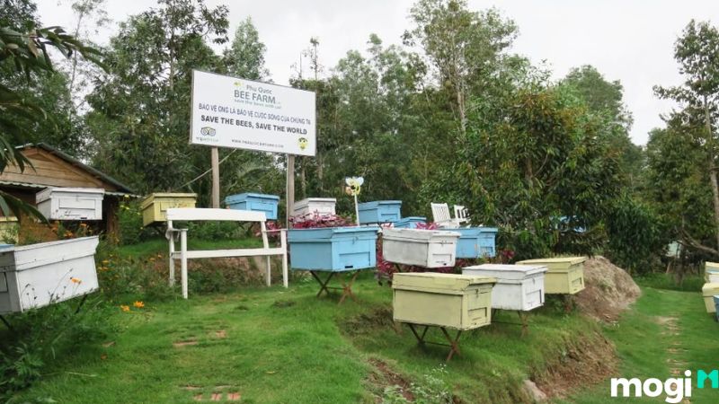 trại ong Phú Quốc