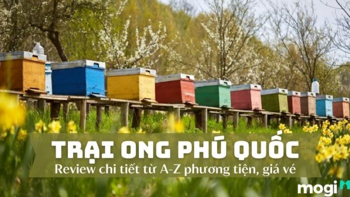 trại ong Phú Quốc