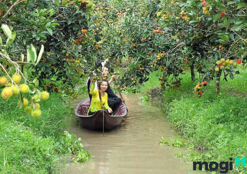 Vườn trái cây chú Ba Cống nằm ở phường Long Tuyền, quận Bình Thủy, Thành phố Cần Thơ