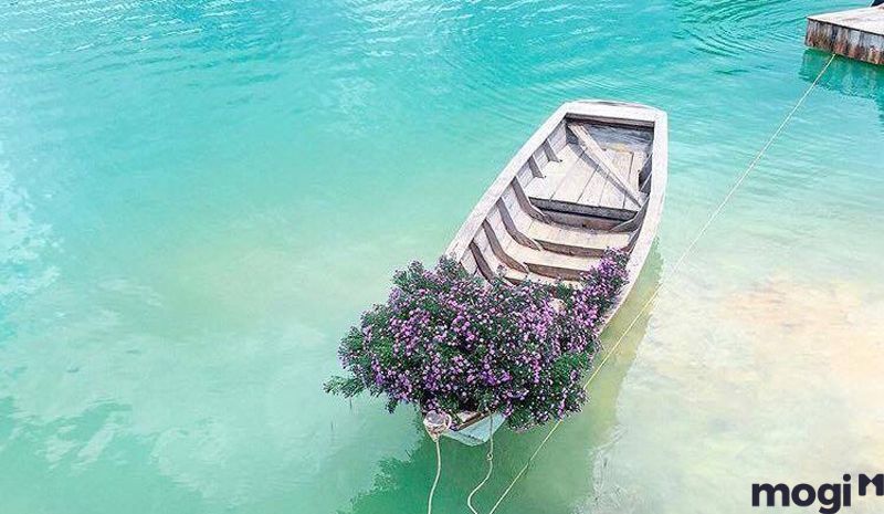 Bạn có thể tham khảo 4 mốc thời gian để đến chiêm ngưỡng vẻ đẹp của Hồ Đá Xanh Vũng Tàu