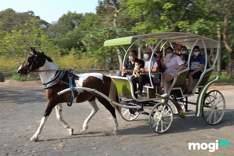 Đi xe ngựa vòng quanh khu du lịch Hồ Mây được rất nhiều du khách yêu thích