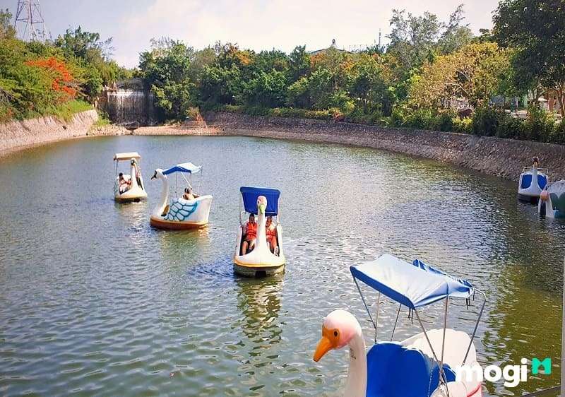 Nếu bạn có trẻ em đi kèm, có thể thử đạp vịt trên hồ
