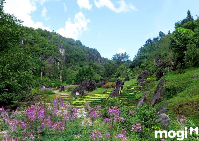 Núi Hàm Rồng, còn được gọi là Hàm Rồng Sơn, là một ngọn núi nằm ở tỉnh Lào Cai