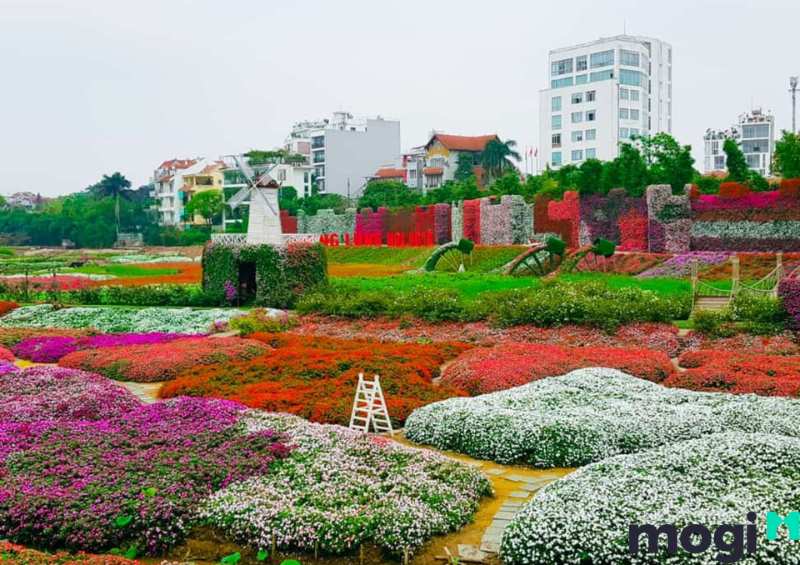 Thung lũng Hoa Hồng nổi tiếng với những cánh đồng hoa hồng rực rỡ