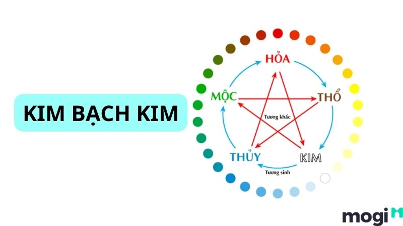 Mệnh Kim Bạch Kim là gì?