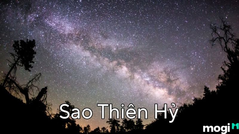 Ý nghĩa sao Thiên Hỷ nhập hạn