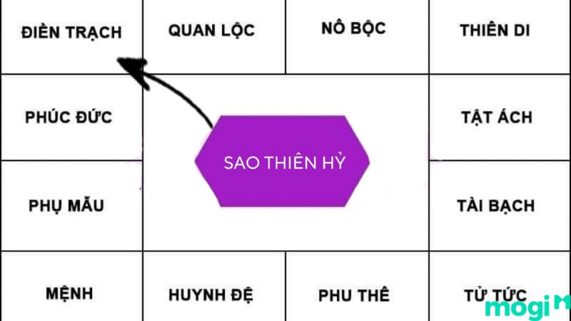 Sao Thiên Hỷ tại cung Điền Trạch