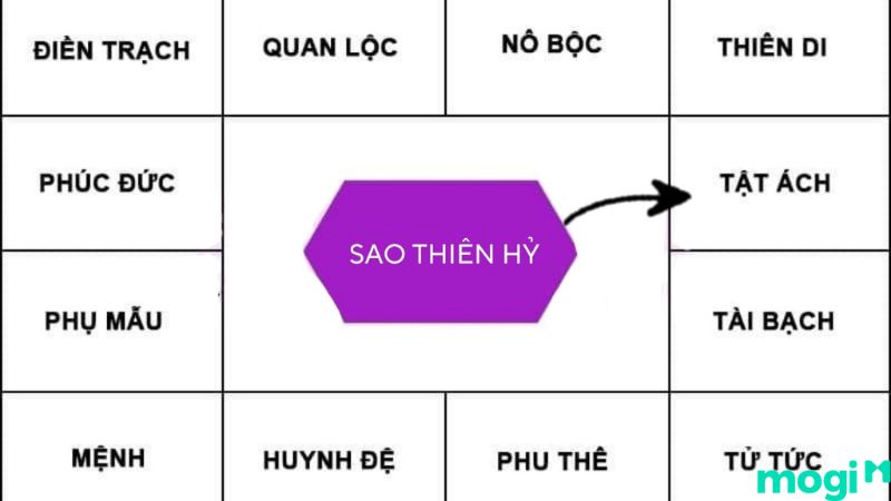 Sao Thiên Hỷ tại cung Tật Ách