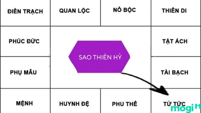 Sao Thiên Hỷ tại cung Tử Tức