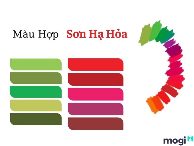 Sơn Hạ Hỏa hợp màu gì?