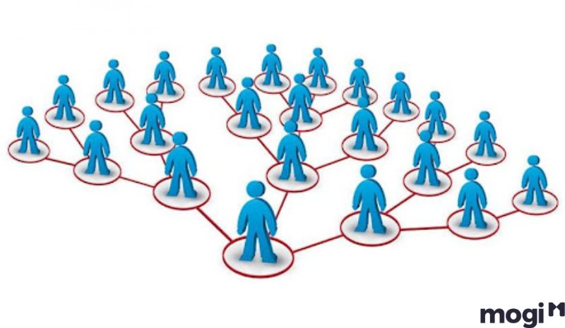 Xây dựng mạng lưới quan hệ với khách hàng