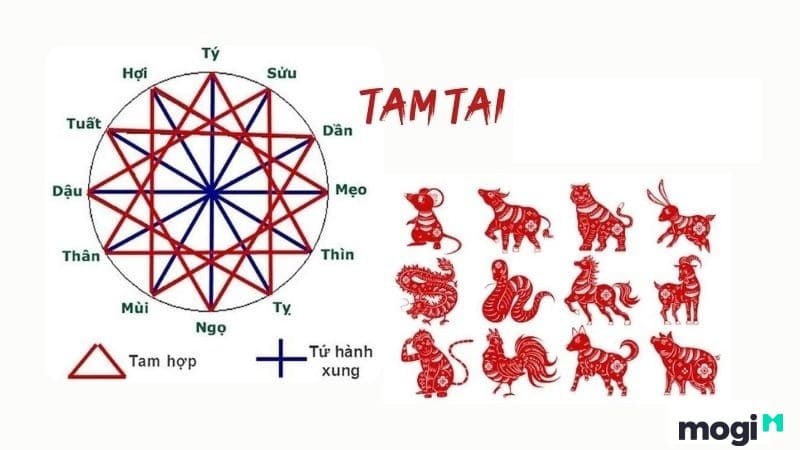 Tân Hợi năm 2024 có dính hạn Tam Tai không?