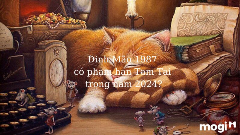 Đinh Mão 2024 có dính hạn Tam Tai không?