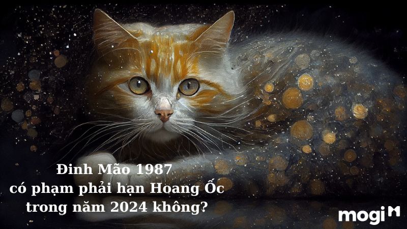 Đinh Mão 2024 có dính hạn Hoang Ốc không?