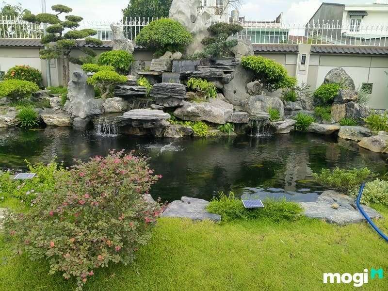 Thiết kế sân vườn đẹp đơn giản có hồ cá Koi
