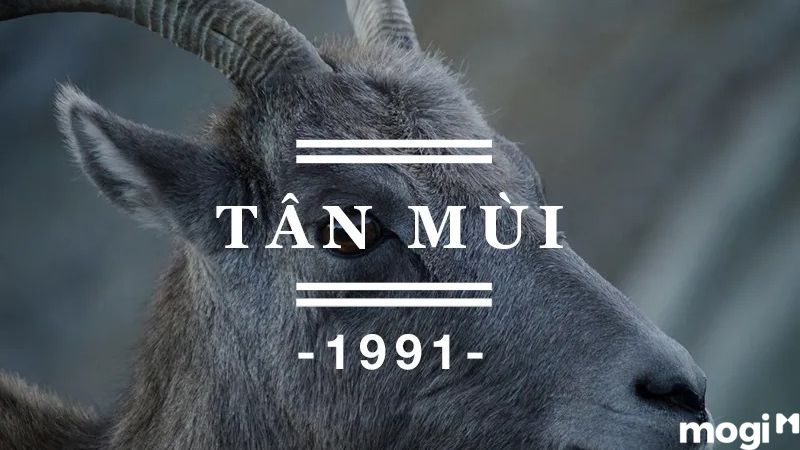 Tổng quan về gia chủ Tân Mùi 1991