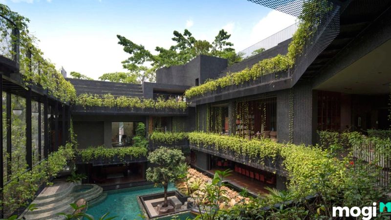 Mẫu thiết kế biệt thự sân vườn nhiệt đới