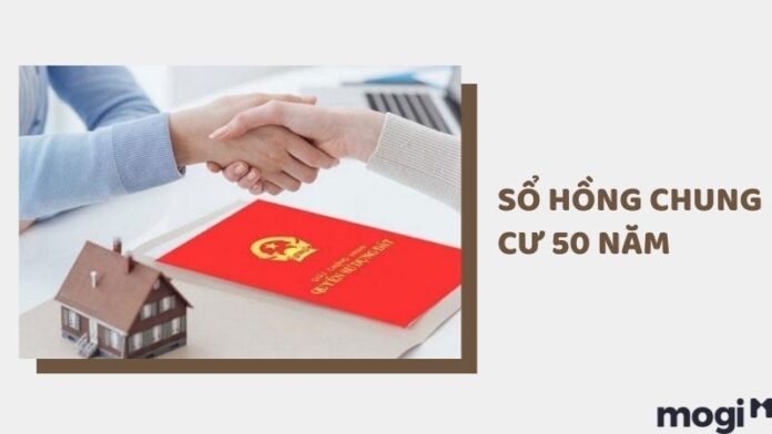 Sổ hồng chung cư 50 năm là gì? Có nên mua chung cư có sổ hồng 50 năm?