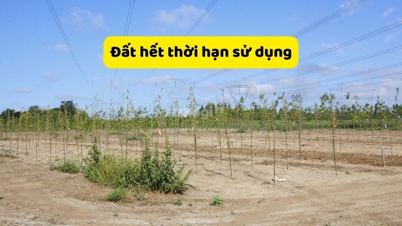 Đất hết thời hạn sử dụng sẽ không được tách thửa